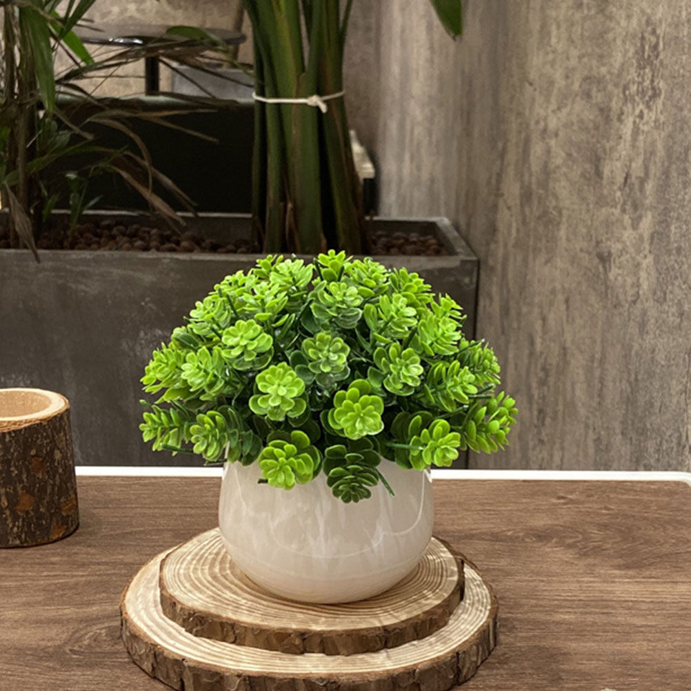 ต้นบอนไซปลอมที่ดูสมจริง ต้นไม้ - Bonsai Garden And Cafe บทวิจารณ์และราคา