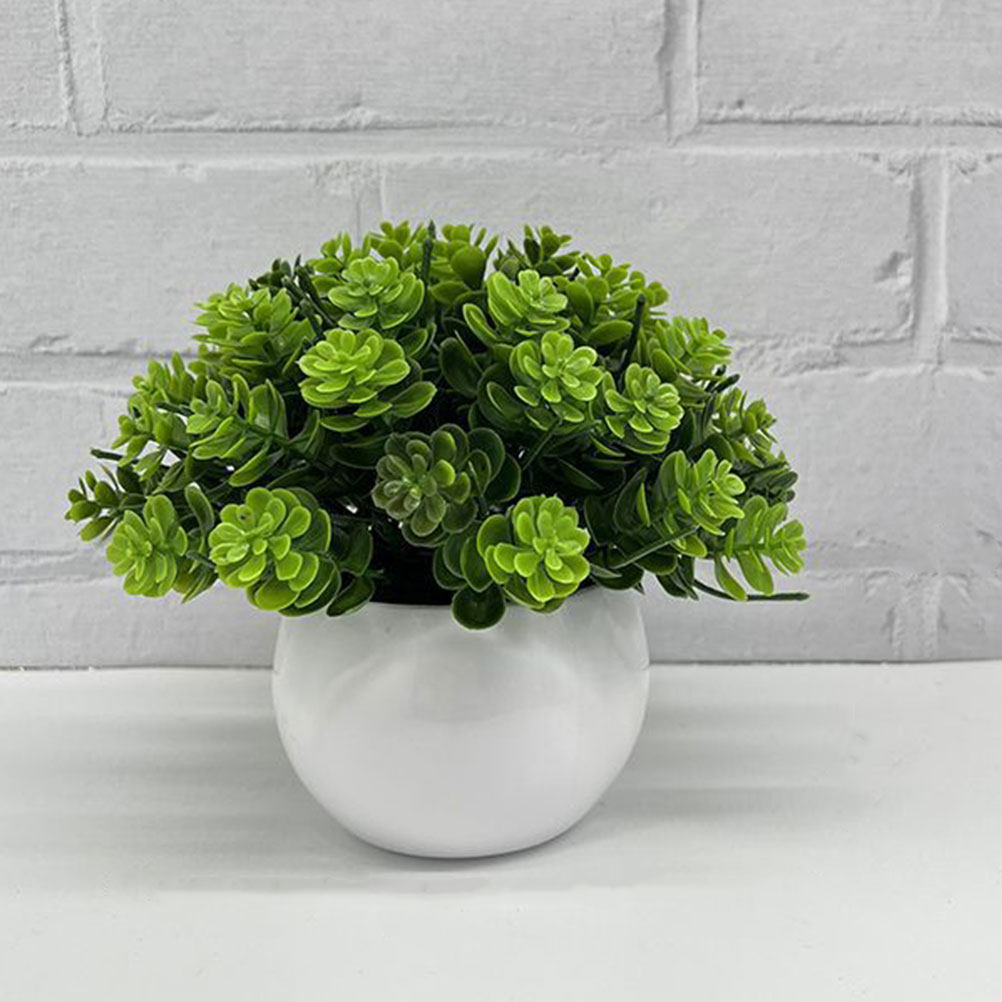 ต้นบอนไซปลอมที่ดูสมจริง ต้นไม้ - Bonsai Garden And Cafe บทวิจารณ์และราคา