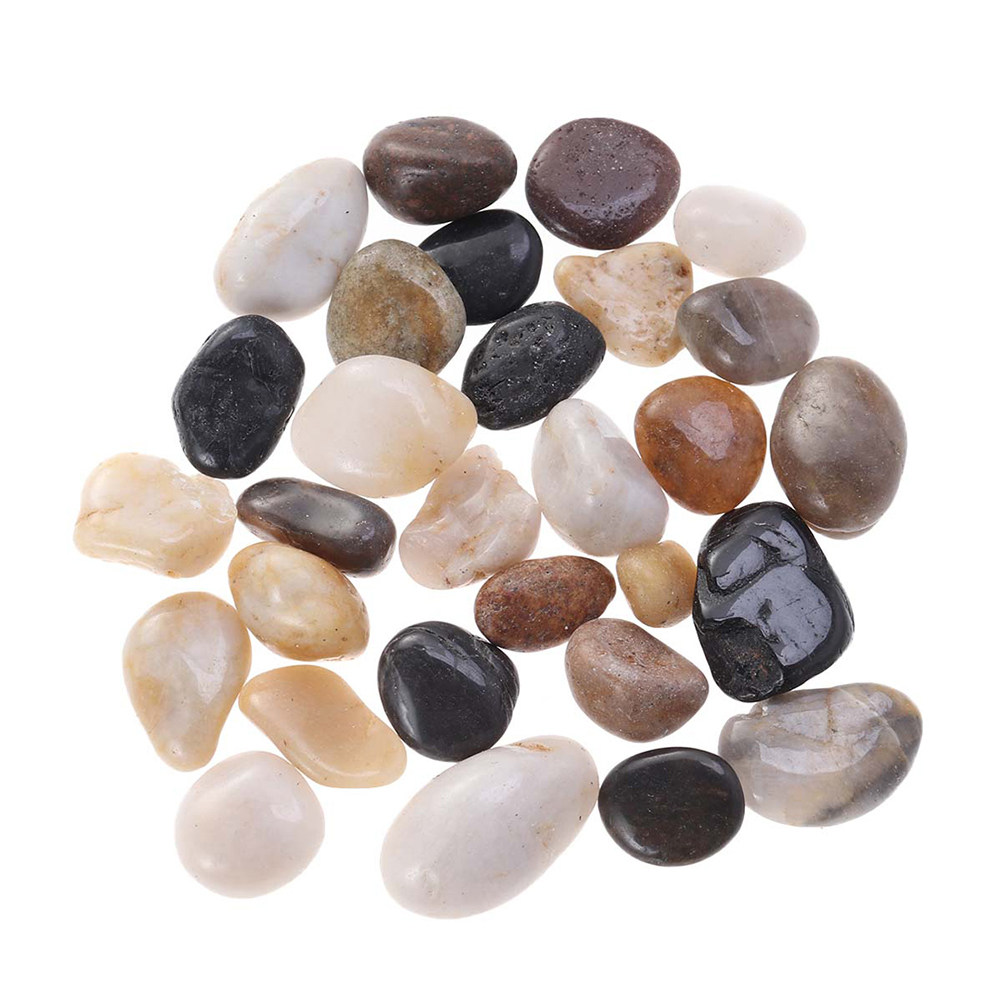 ชุดหินแม่น้ำขัดเงาสีสันสดใส พื - Bonsai Rock Garden บทวิจารณ์และราคา