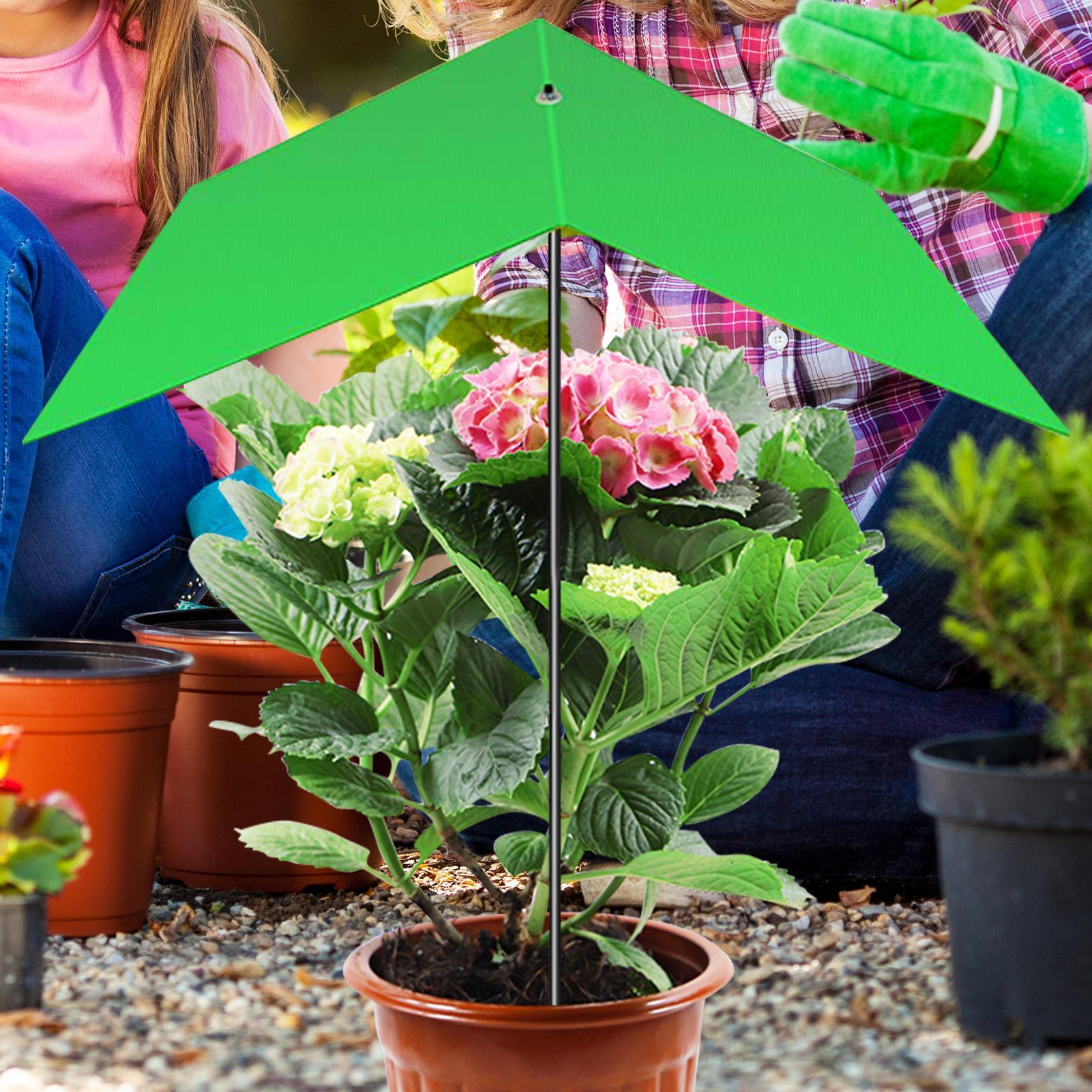ร่มคลุมต้นไม้ ป้องกันรังสียูวี - Bonsai Garden And Cafe บทวิจารณ์และราคา