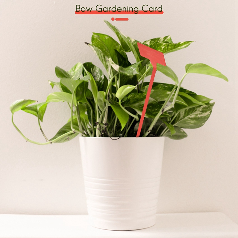 ABYP สวนเครื่องมือปลูก 50 ชิ้น - Bonsai Garden Tools บทวิจารณ์และราคา