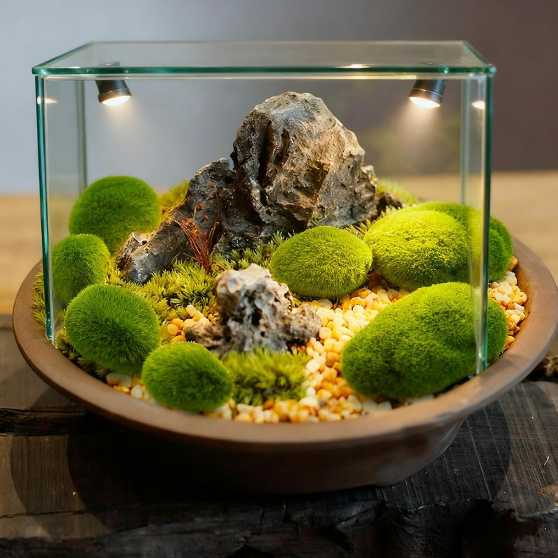 หินมอสเทียม 50/5 ชิ้น หินมอสสี - Bonsai Rock Garden บทวิจารณ์และราคา