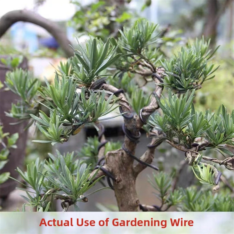 ลวดบอนไซอะลูมิเนียมขนาด 1.5 มม - Bonsai Garden Tools บทวิจารณ์และราคา