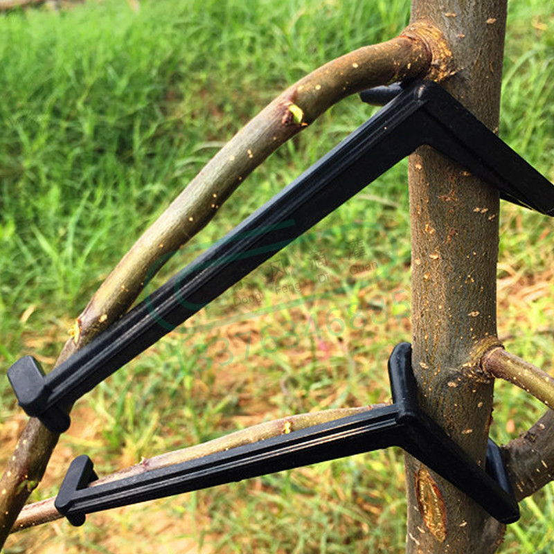 10-30Pcs ผลไม้คลิปต้นไม้พืช Vi - Bonsai Garden Tools บทวิจารณ์และราคา