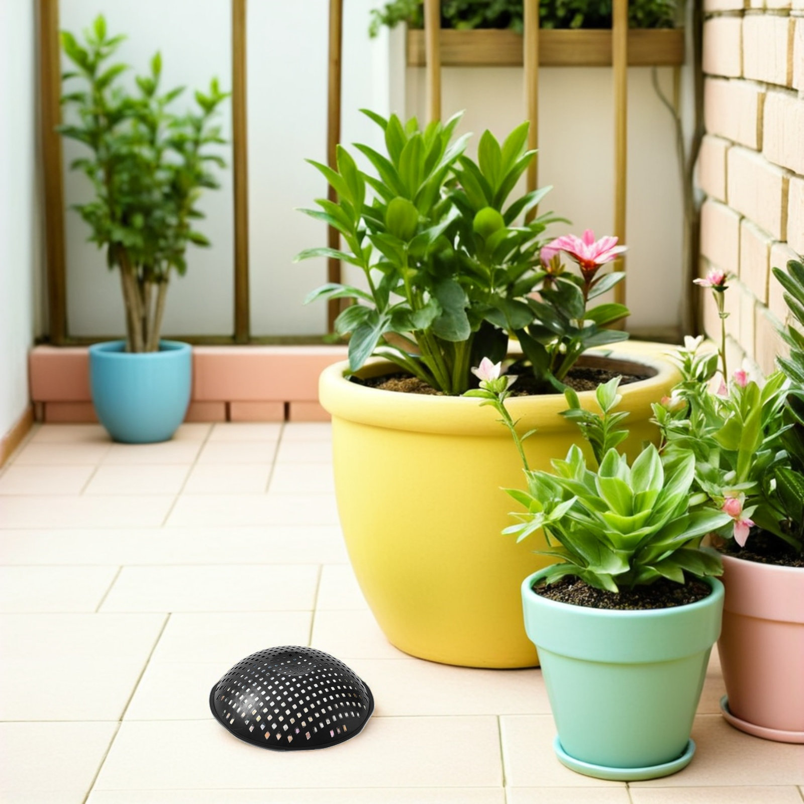 แผ่นตาข่ายรองกระถางต้นไม้ 10 ช - Bonsai Garden And Cafe บทวิจารณ์และราคา