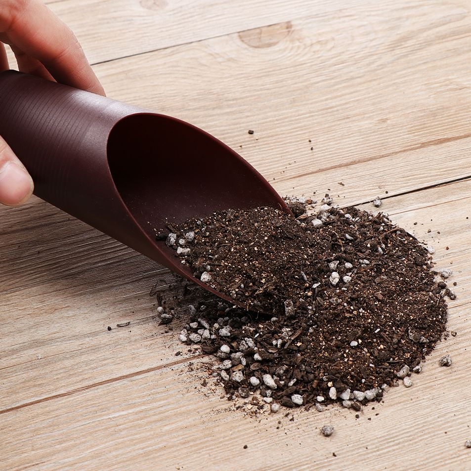 ถ้วยพลั่วดินพลาสติก1ชิ้นสำหรับ - Bonsai Garden Tools บทวิจารณ์และราคา